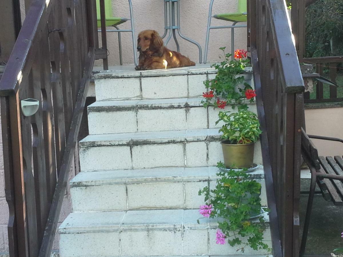 Utulny Privat Appartement Veľký Meder Buitenkant foto